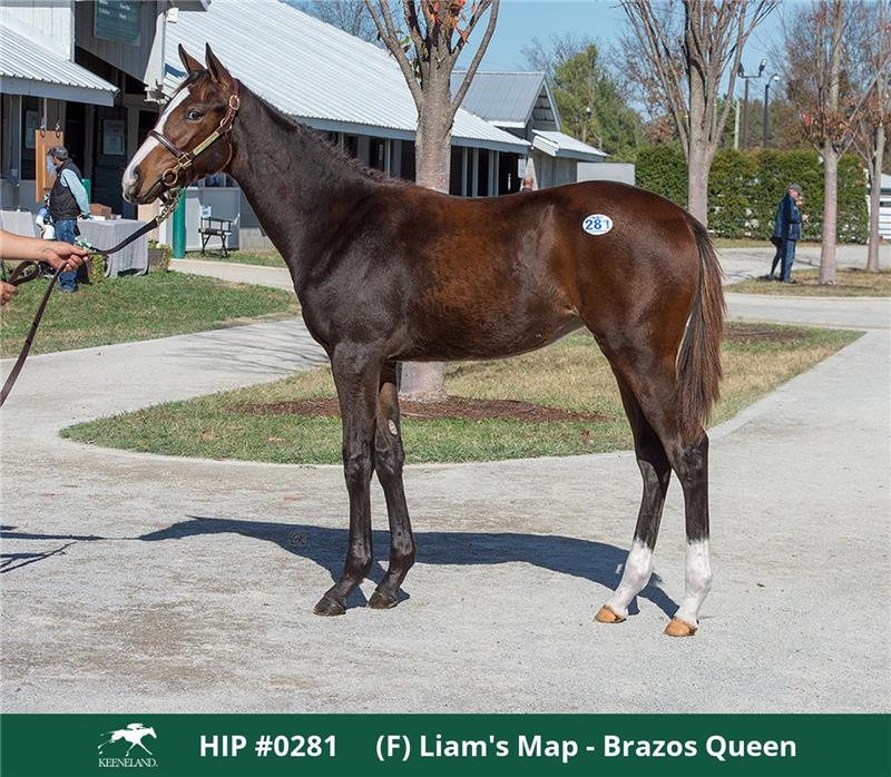 22 Brazos Queen
