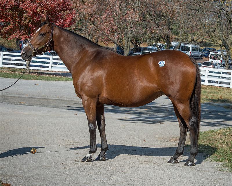 41KeeNov22_Diamond-Sparkles_Bluewater_0243w