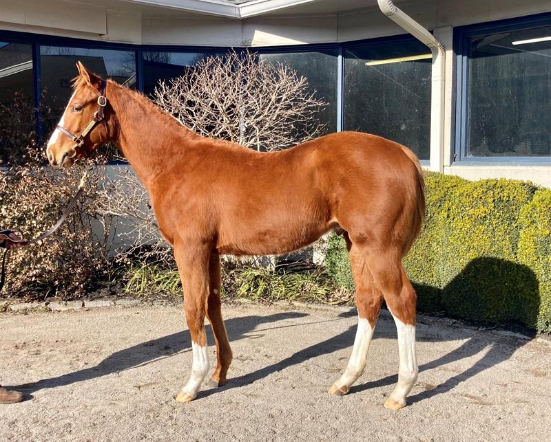 Hip13Vino