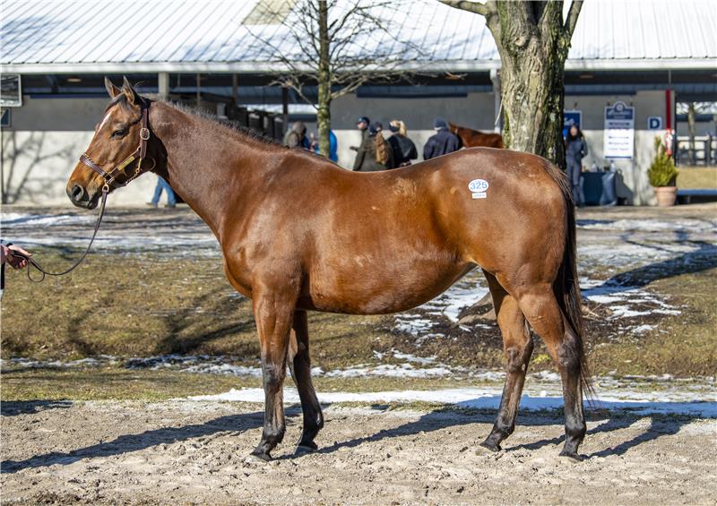 Hip325