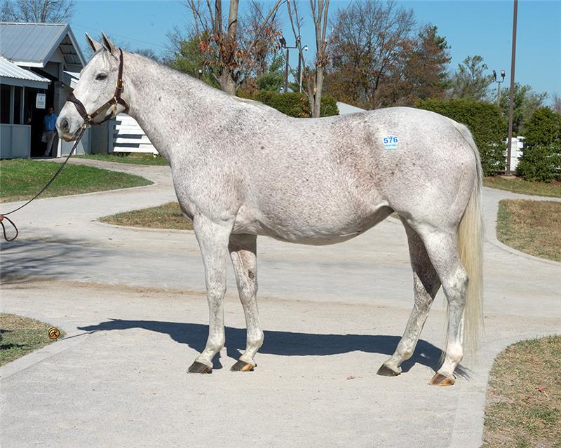 Hip576