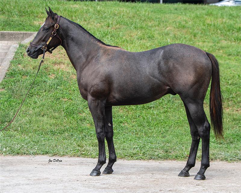 21KeeSept Hip 2092