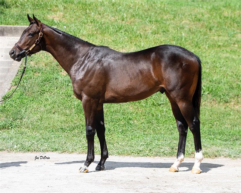 21 KeeSept Hip 2338