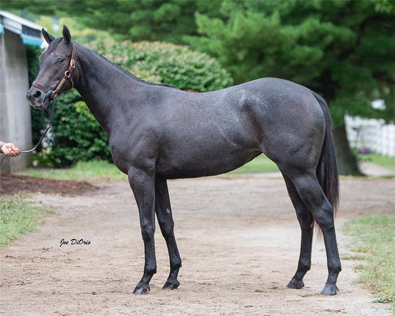21KeeSept Hip 2832