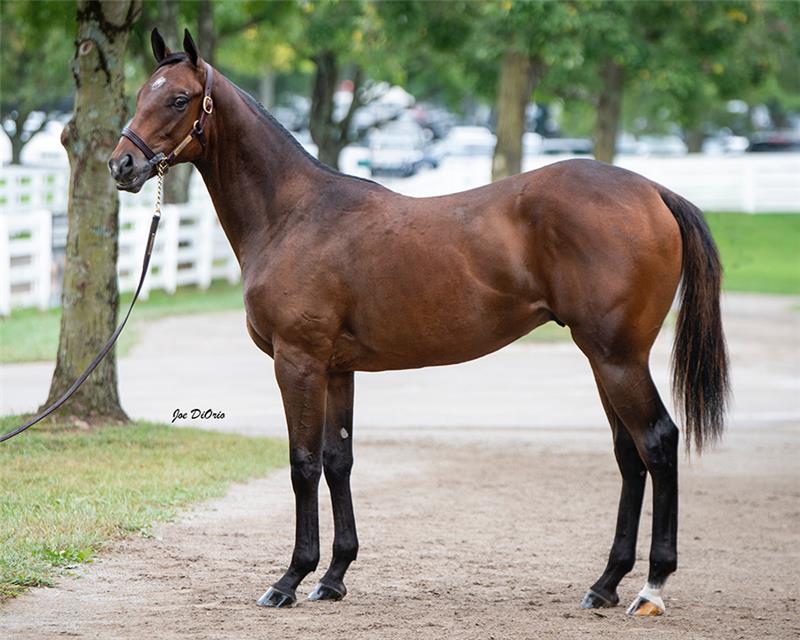 21KeeSept Hip 2887